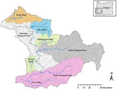 A comprehensive multi-state conditional occupancy model for evaluating interactions of non-native and native species